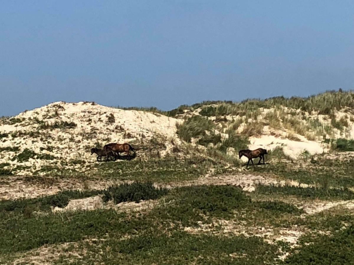Ferienhaus Gluecklich Am Meer 3 Mit Wellnesszugang Egmond aan Zee Exterior photo